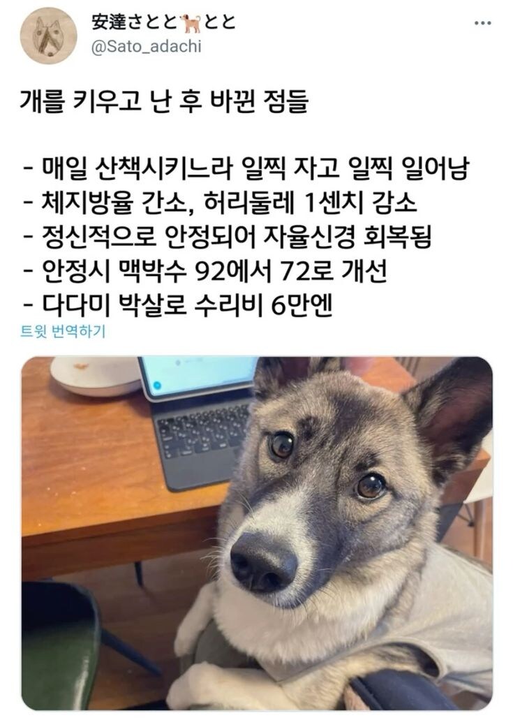멍멍이를 키우고 난 후 변한것.jpg_1.jpg