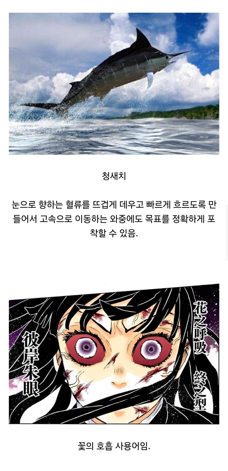 의외로 꽃의 호흡을 사용할 수 있는 생물.jpg_1.jpg