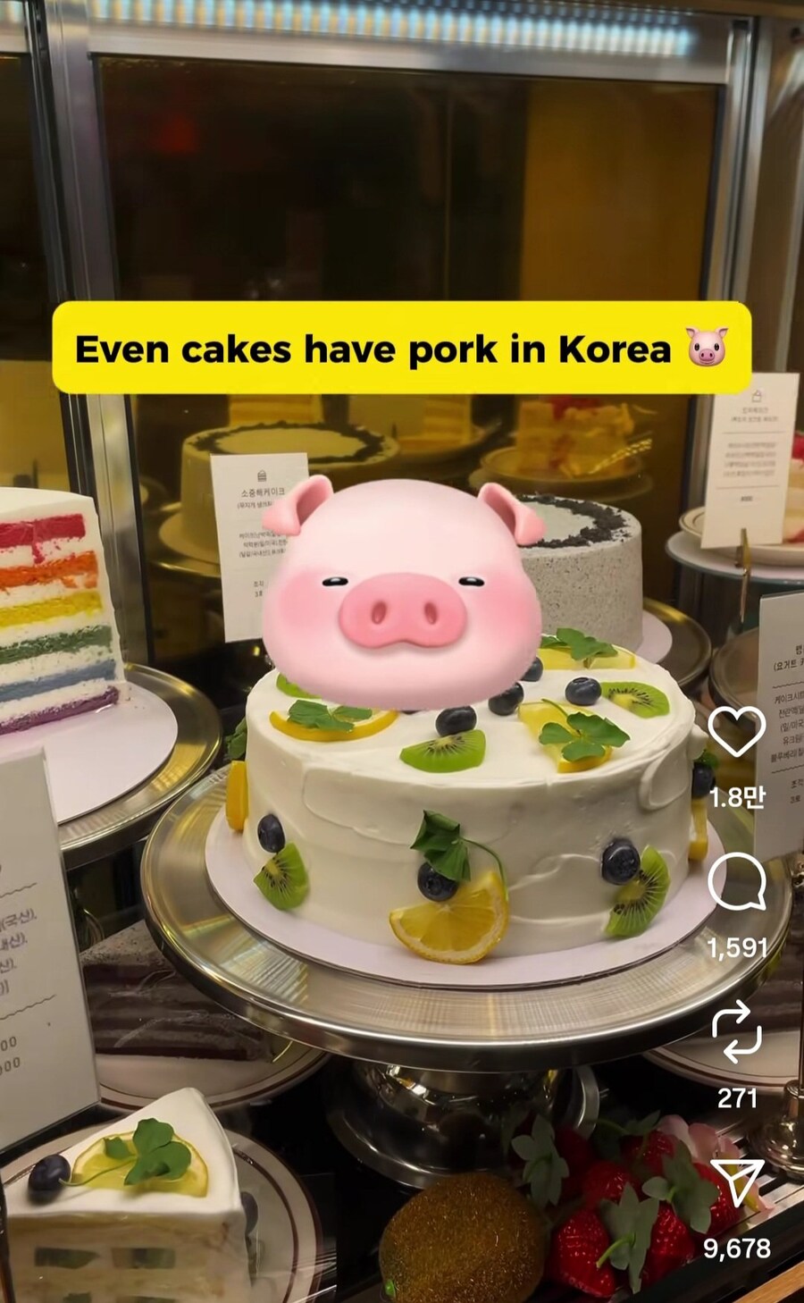 한국 케잌에 대지가 들어가서 불편한 무슬림_3.jpg