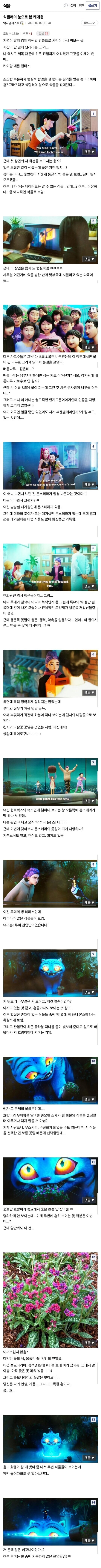 식물갤러의 관점에서 본 케데헌.jpg_1.png