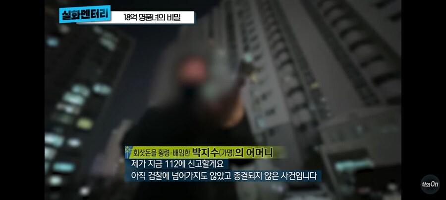 3년동안 회사돈 18억 횡령,배임 한 명품녀_3.jpg