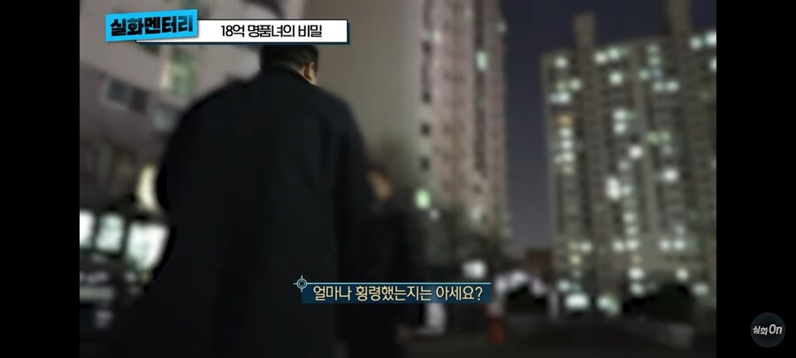 3년동안 회사돈 18억 횡령,배임 한 명품녀_5.jpg