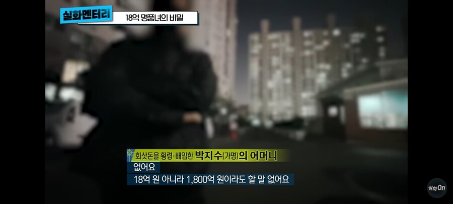 3년동안 회사돈 18억 횡령,배임 한 명품녀_8.jpg