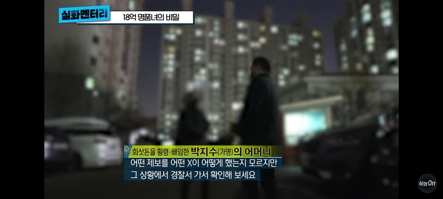 3년동안 회사돈 18억 횡령,배임 한 명품녀_9.jpg