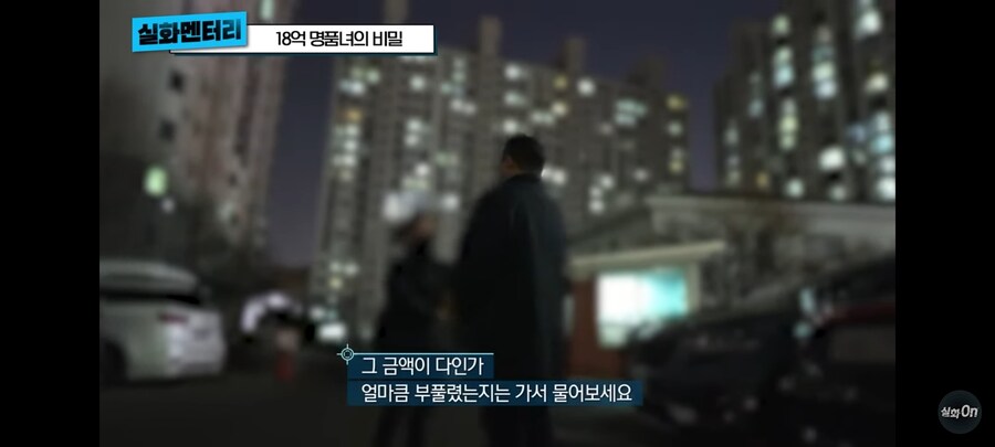 3년동안 회사돈 18억 횡령,배임 한 명품녀_10.jpg