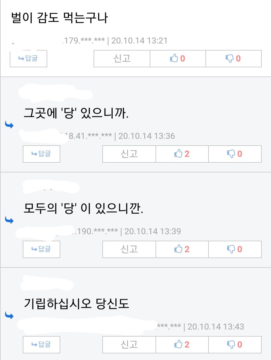 벌이 감을 먹는 이유.jpg_2.jpg