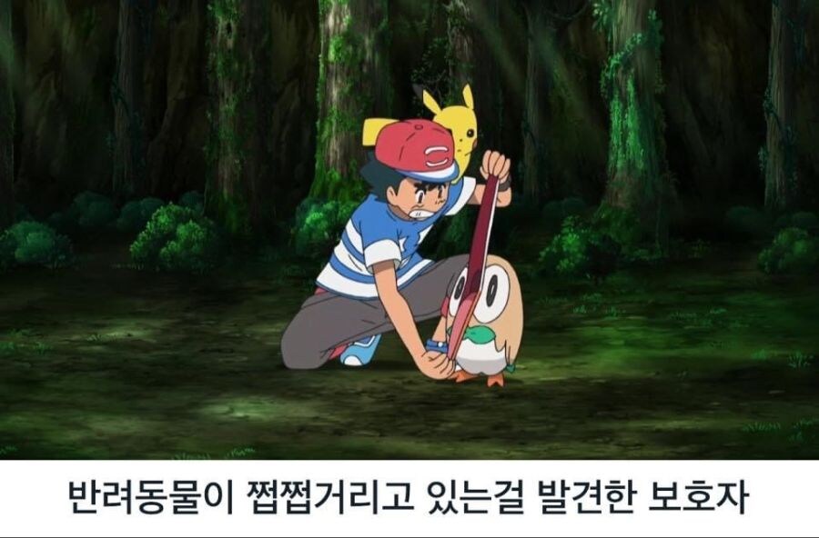 산책 중인 견주들의 심연을 자극하는 공포스러운 행위_1.jpg