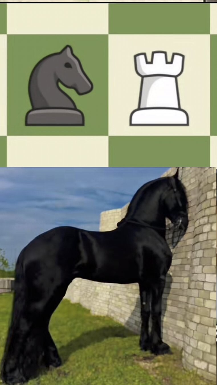 나이트 vs 루크_1.jpg