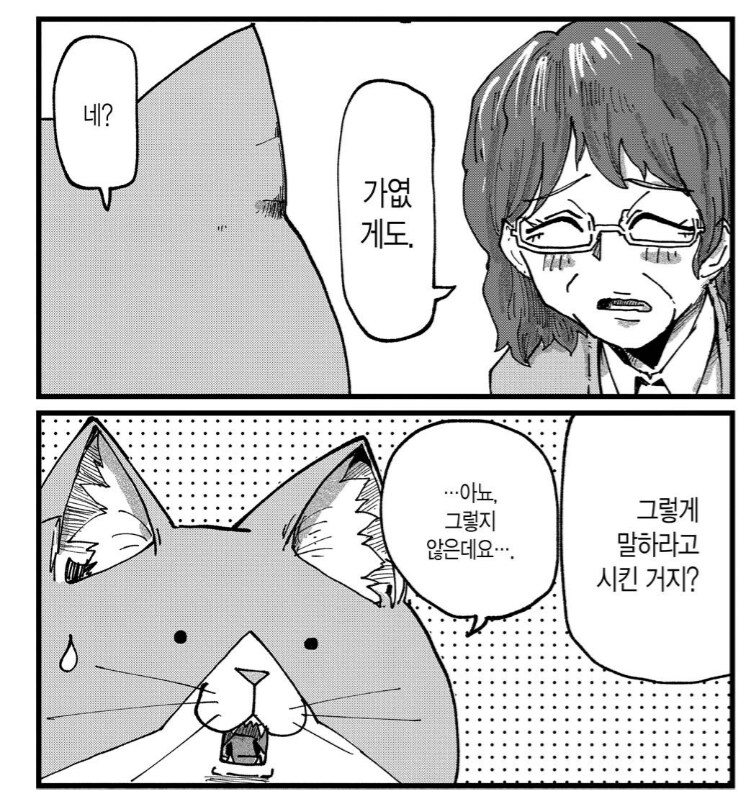 고양이가 운영하는 가게에 온 캣맘_4.png