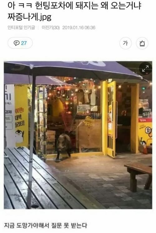 헌팅포차에 돼지는 왜 오는거냐 짜증나게 ㅋㅋㅋ_1.jpg