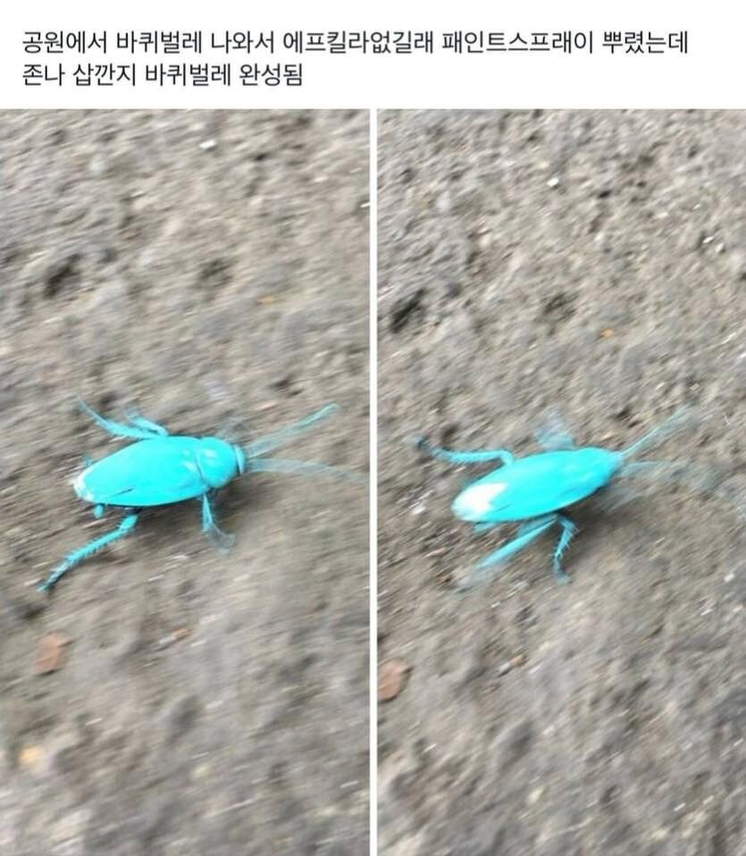 개간지 바선생.jpg_1.jpg