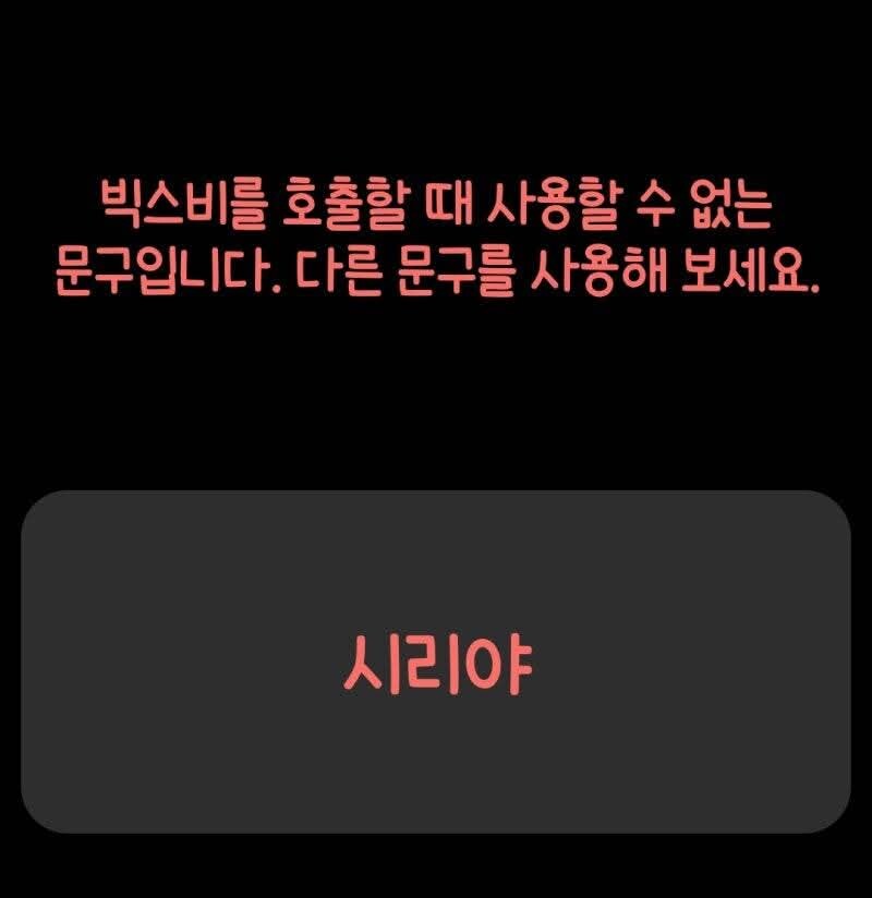 빅스비 호출 시 설정할 수 없는 호출명_1.jpg