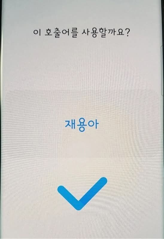 빅스비 호출 시 설정할 수 없는 호출명_2.jpg