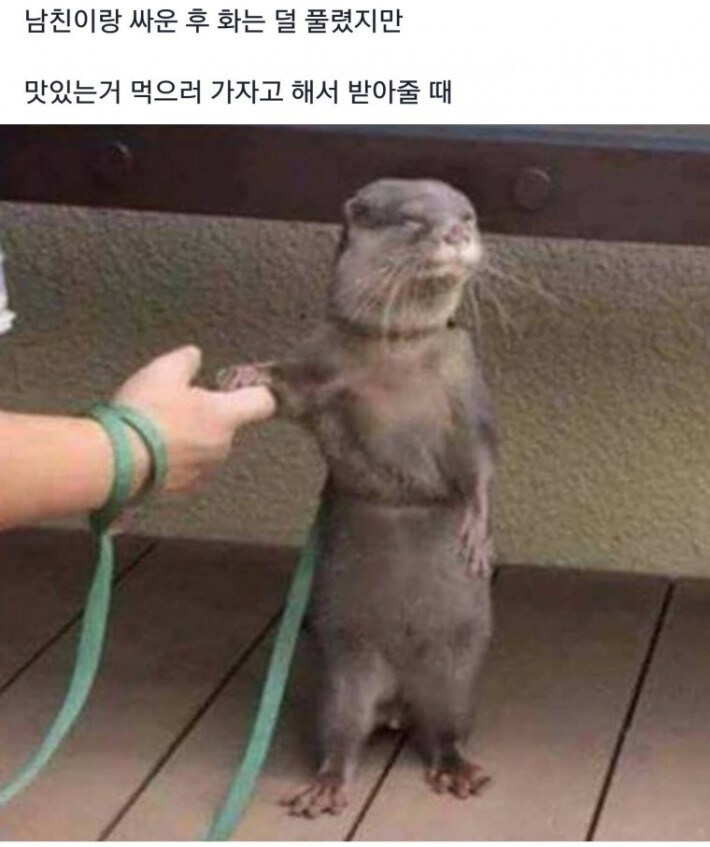 여자들이 먹을 거 좋아해서 그나마 다행인 부분_1.jpg