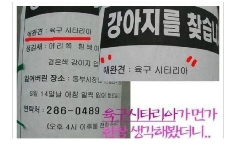 육구시타리아_2.jpg