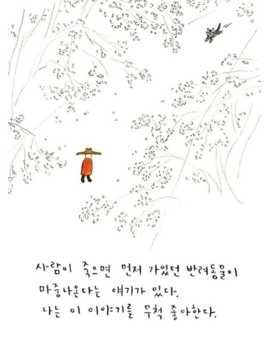 사람이 죽으면 먼저 가있던 반려동물이 마중나온다.jpg_1.jpg