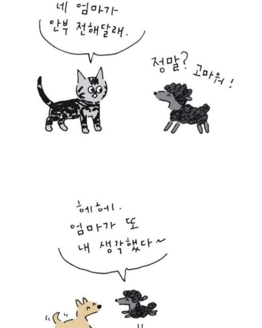 사람이 죽으면 먼저 가있던 반려동물이 마중나온다.jpg_6.jpg
