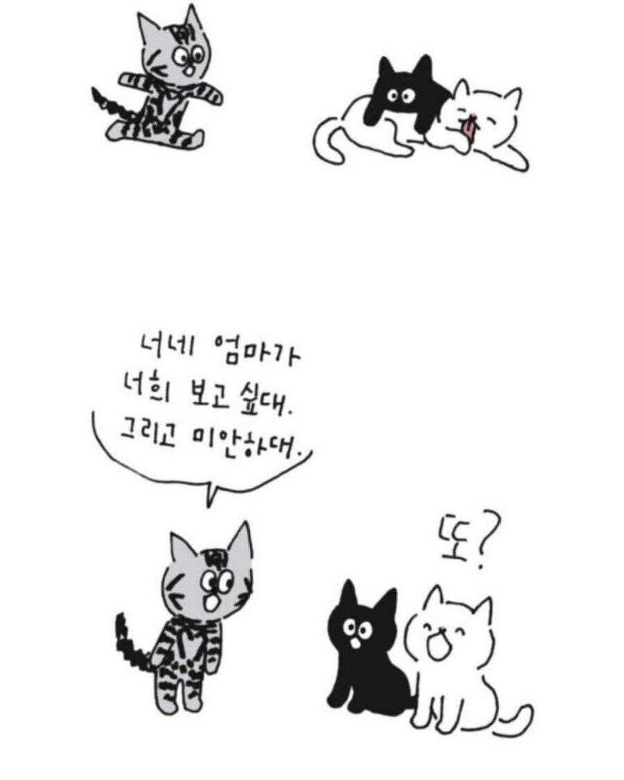 사람이 죽으면 먼저 가있던 반려동물이 마중나온다.jpg_7.jpg