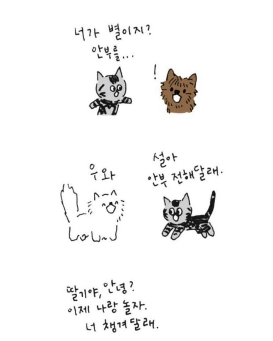 사람이 죽으면 먼저 가있던 반려동물이 마중나온다.jpg_11.jpg