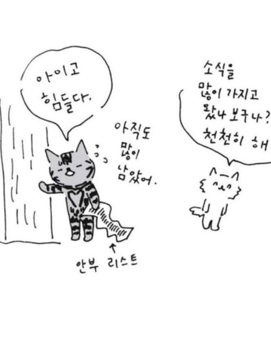 사람이 죽으면 먼저 가있던 반려동물이 마중나온다.jpg_12.jpg