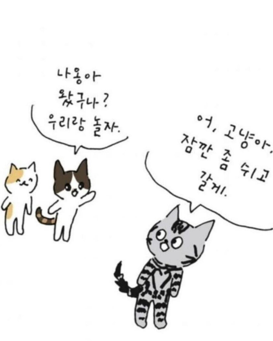 사람이 죽으면 먼저 가있던 반려동물이 마중나온다.jpg_15.jpg