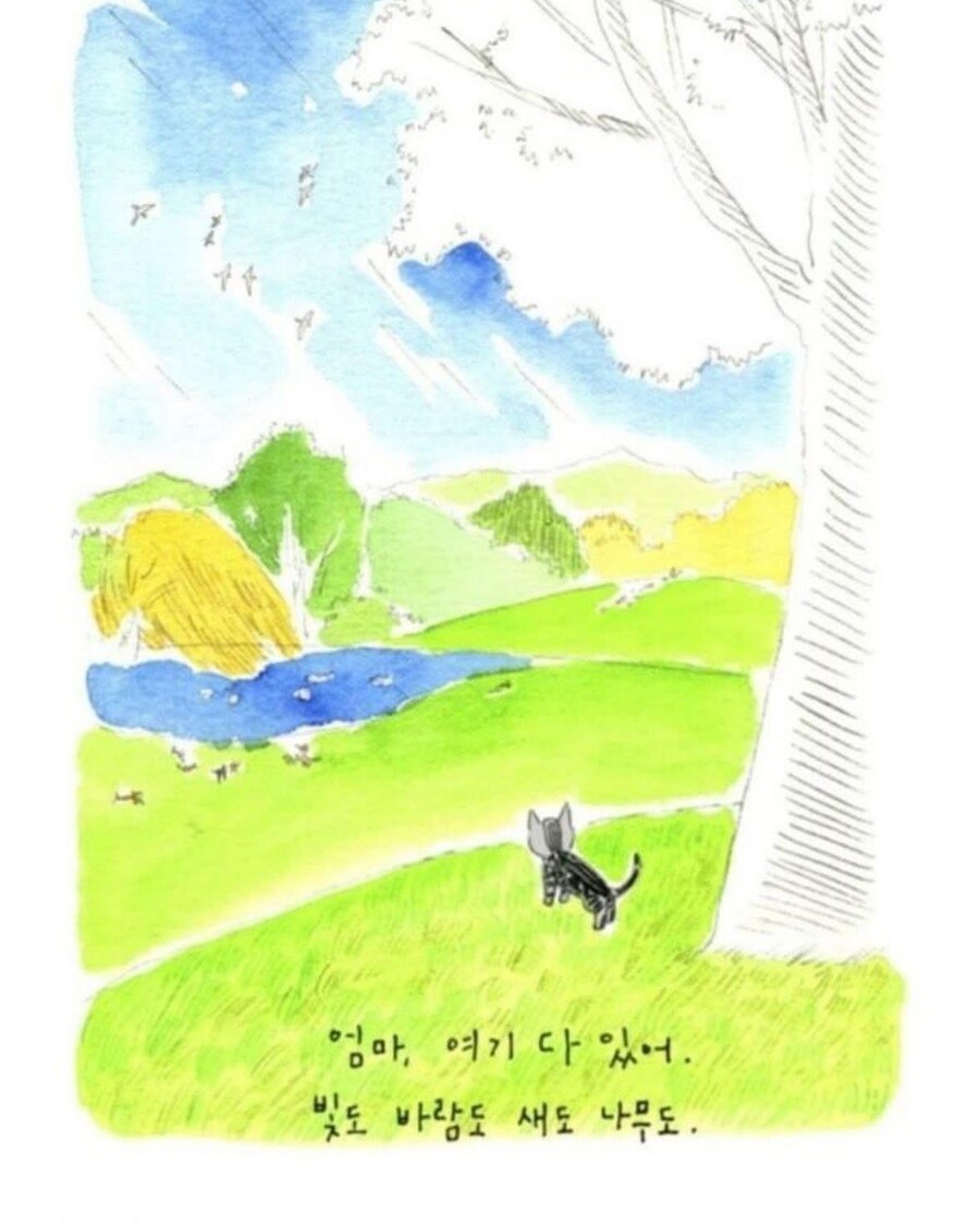 사람이 죽으면 먼저 가있던 반려동물이 마중나온다.jpg_17.jpg
