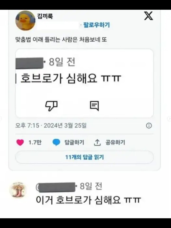 맞춤법 호불호_1.jpg