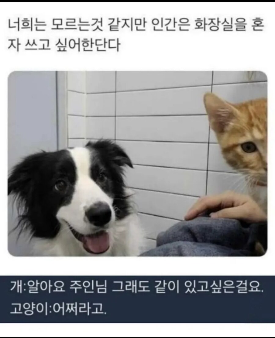 너희가 뭔가 잘 모르나 본데_1.jpg