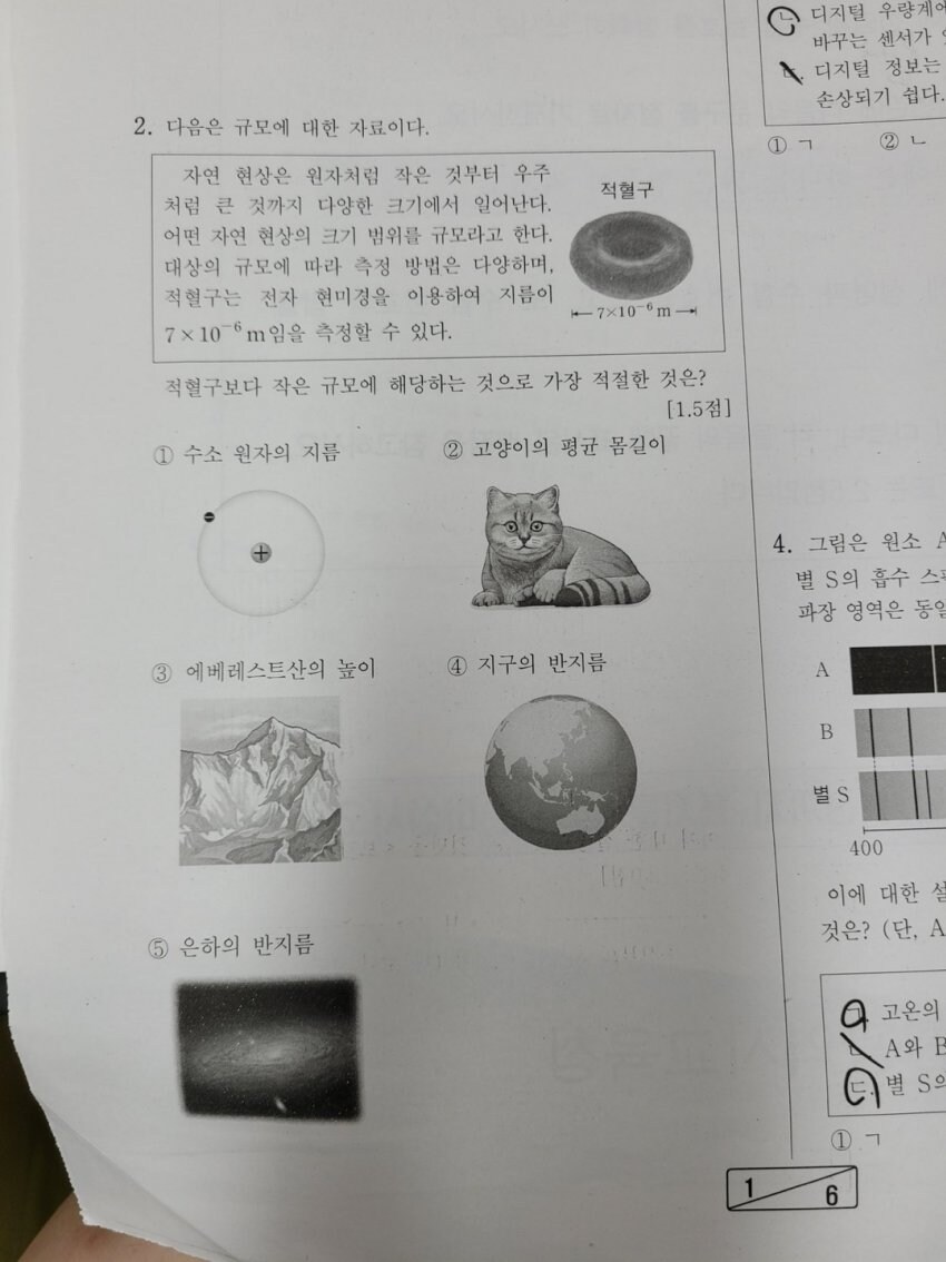 적혈구보다 작은거는?_1.jpg