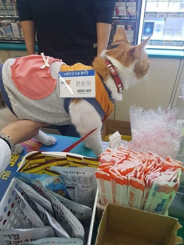 편의점에서 편순이 배 만졌다_1.jpg
