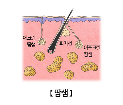 의외로 인간의 특수능?력인거_1.jpg