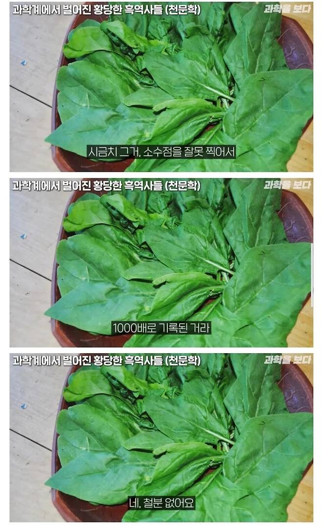 시금치에 대한 오해와 진실_2.jpg