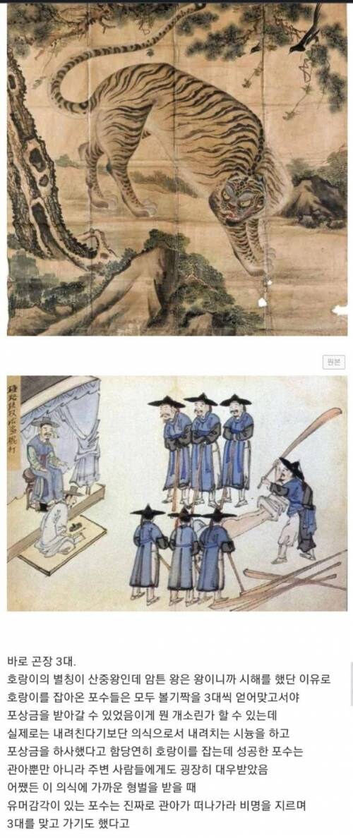 조선시대 호랑이를 잡으면 받는 포상_1.jpg