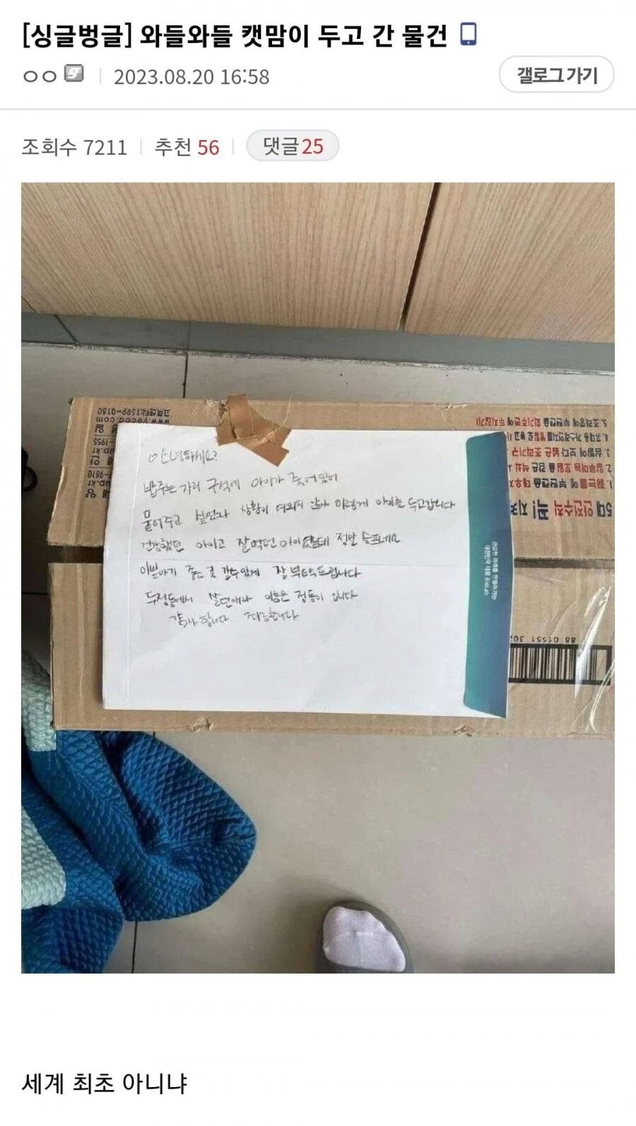 어느 디시인의 캣맘이 두고간 물건._1.jpg