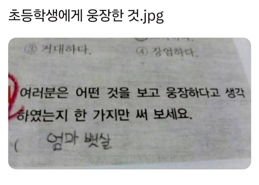 초등학생에게 웅장한 것.jpg_1.jpg
