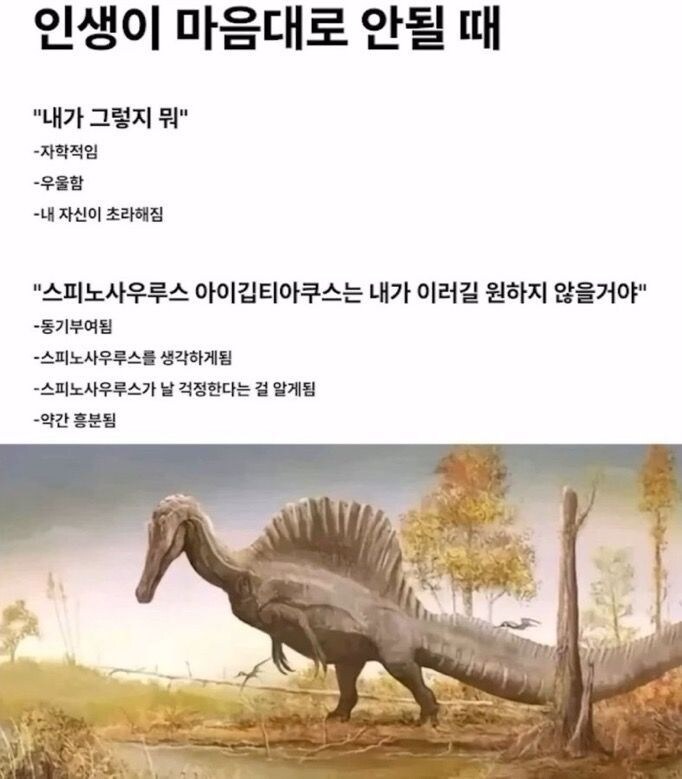 인생이 마음대로 안될때의 마음가짐_1.jpg
