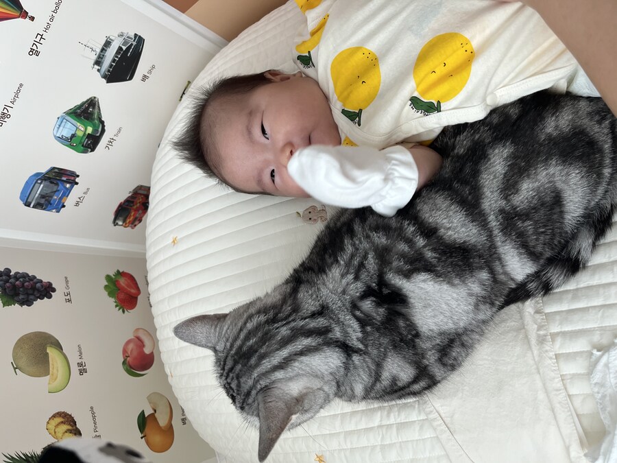 치열한 자리싸움_1.jpg