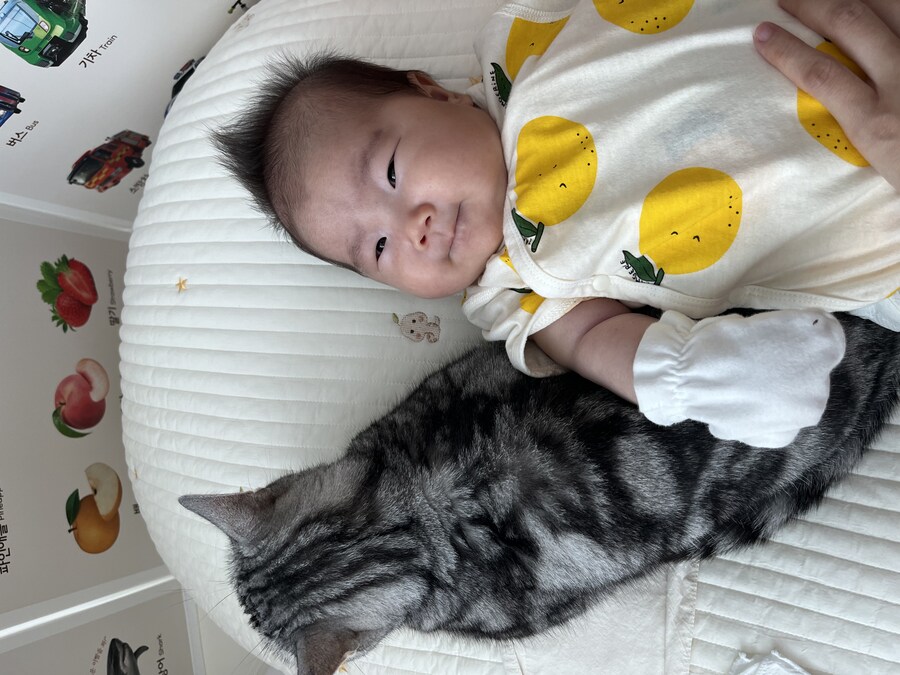 치열한 자리싸움_2.jpg