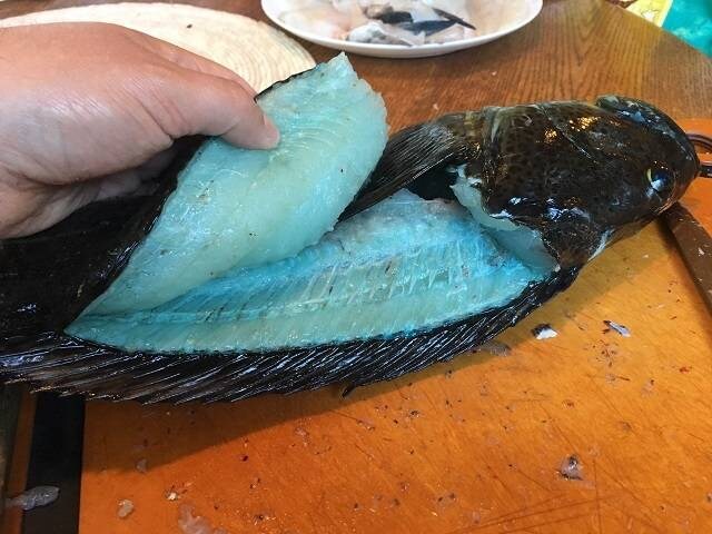 파워에이드 맛이 날거 같은 생선_7.jpg