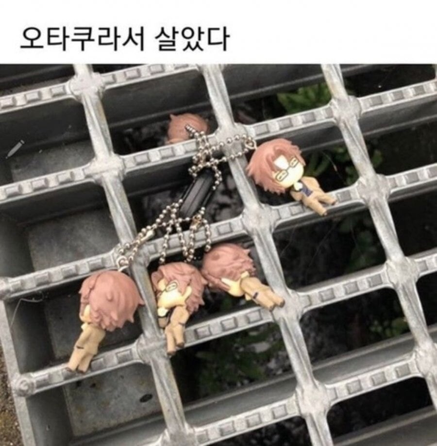 오타쿠라서 살았다_1.jpg