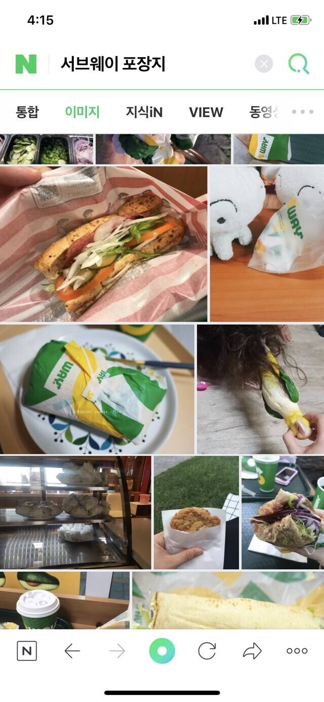 서브웨이 포장지 이미지 검색하면 나오는 앵무새.JPG_2.jpg