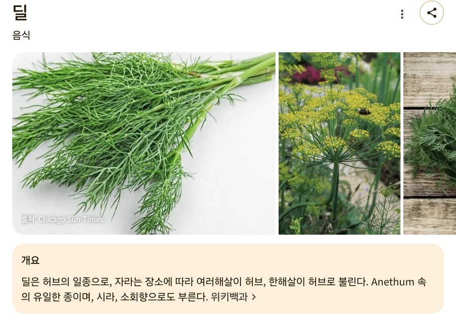 캐나다 딜도 회사_3.jpg