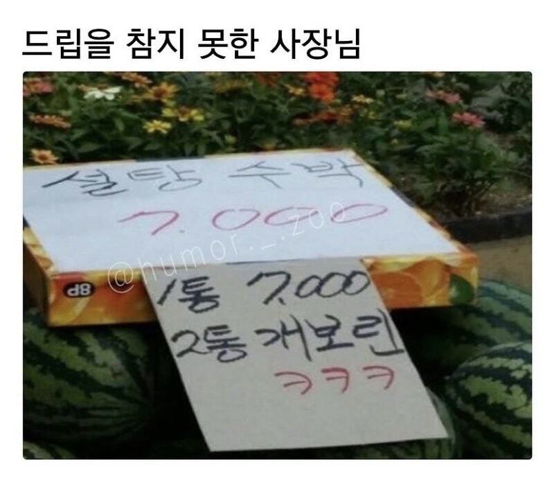 수박 1통에 7,000원_1.jpg