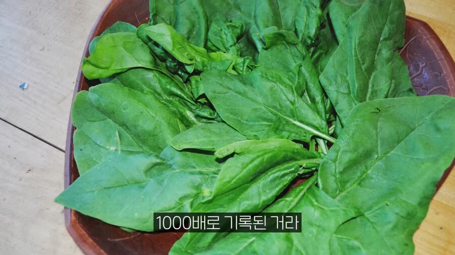 시금치의 배신.jpg_2.jpg