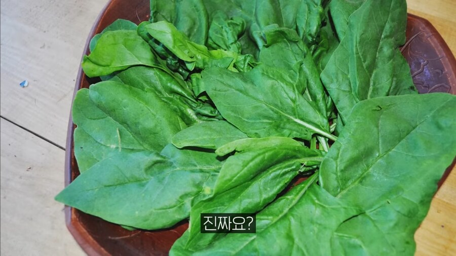 시금치의 배신.jpg_3.jpg