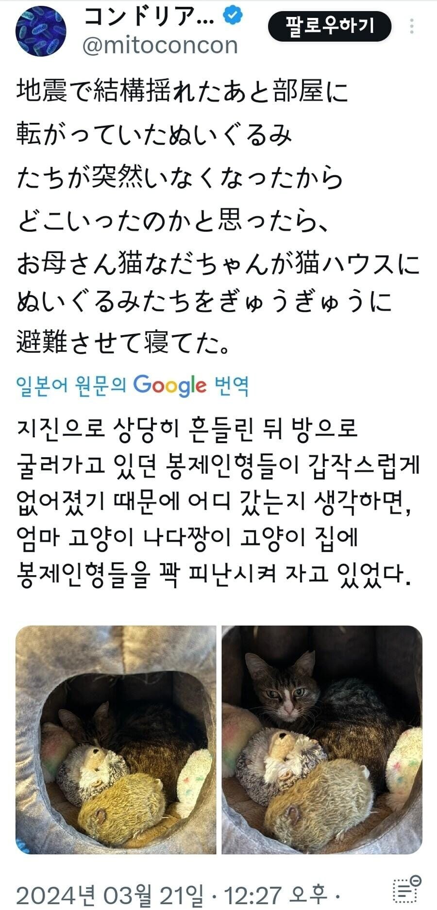 지진후 인형들이 없어진 이유.jpg_1.jpg