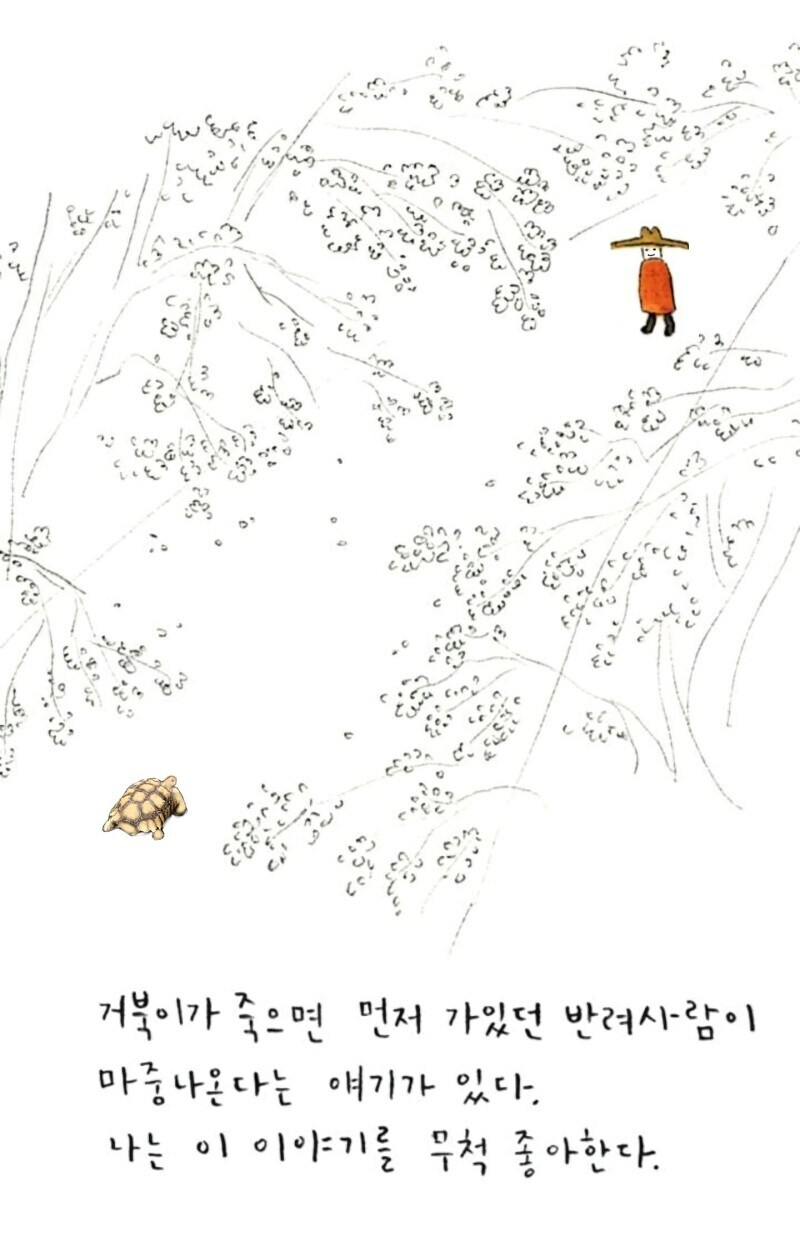 거북이가 죽으면 먼저 가있던 반려 사람이 마중나온다_1.jpg