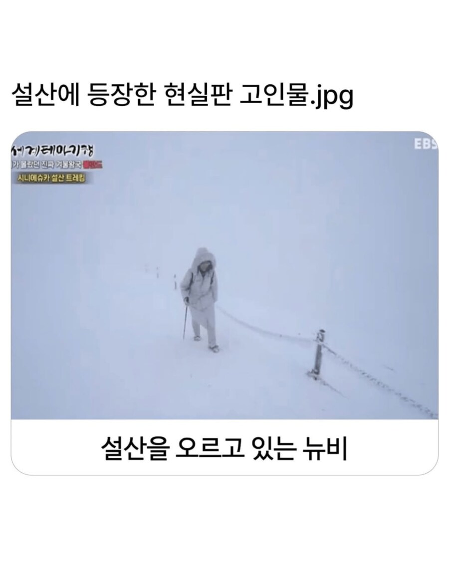 뉴비를 보고 흥분한 고인물_1.png