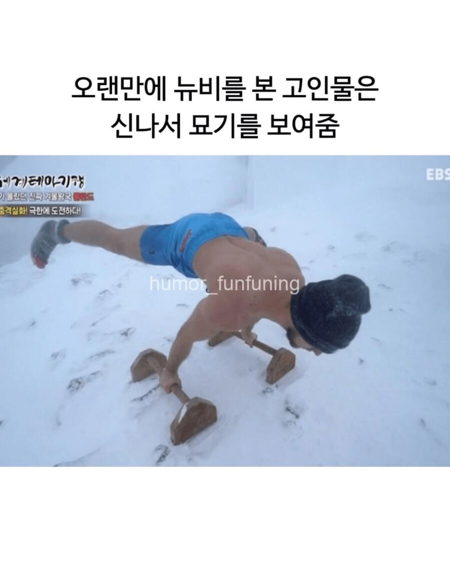 뉴비를 보고 흥분한 고인물_7.png