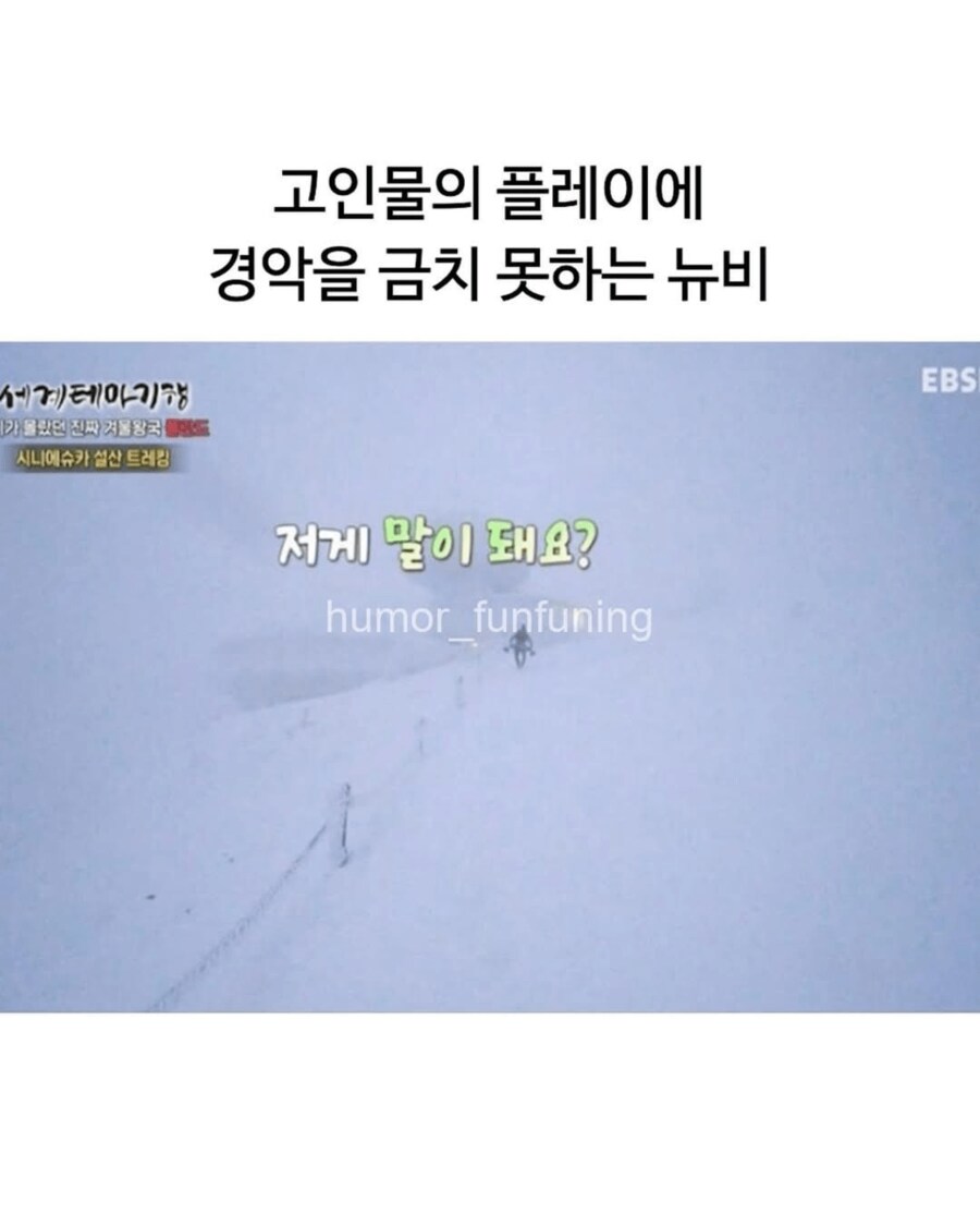 뉴비를 보고 흥분한 고인물_10.png